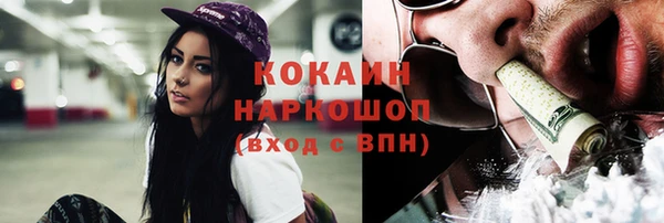 гашик Арсеньев