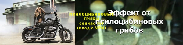 гашишное масло Аркадак