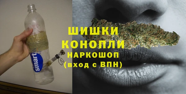 гашик Арсеньев