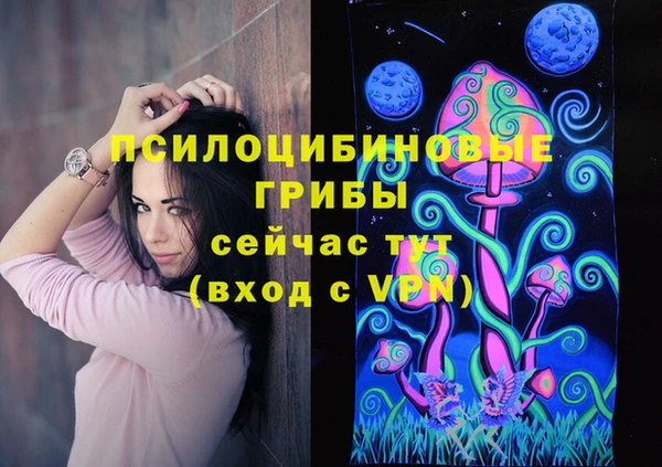 сатива Армянск