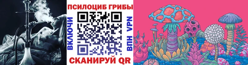 ссылка на мегу маркетплейс  Спас-Клепики  Псилоцибиновые грибы мицелий  наркотики 